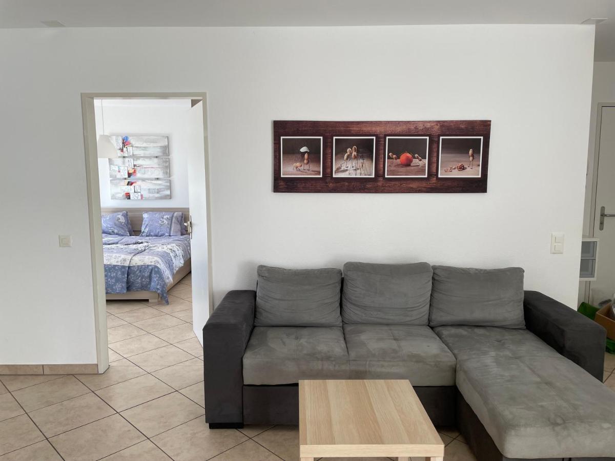 Appartamento 2,5 Con Piscina Nel Cuore Di Locarno 463 외부 사진